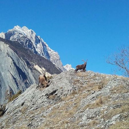 Location Vacances Saint Michel De Maurienne "Le Dahu" Lejlighed Eksteriør billede