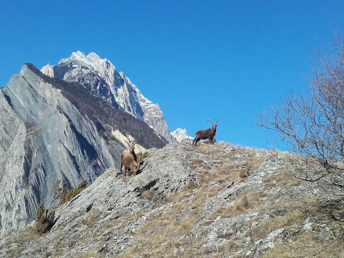 Location Vacances Saint Michel De Maurienne "Le Dahu" Lejlighed Eksteriør billede